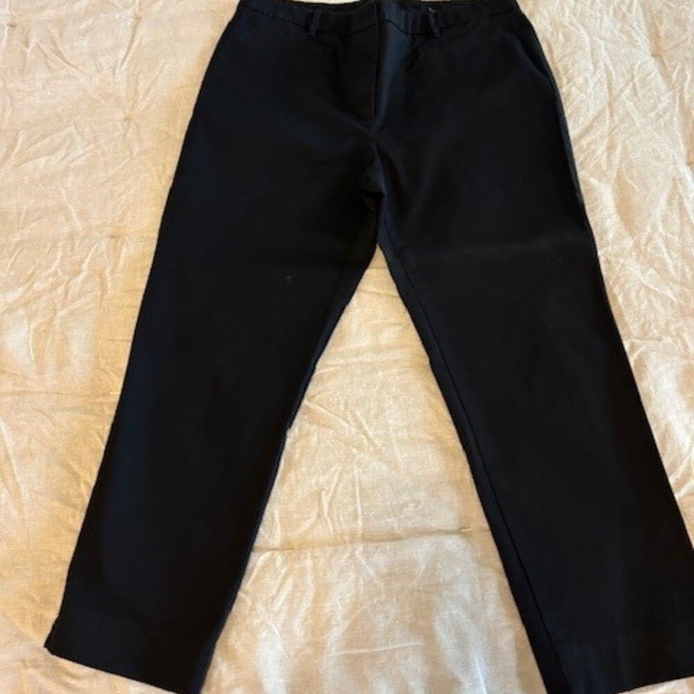 Ann Taylor Ankle Length Chino Pants